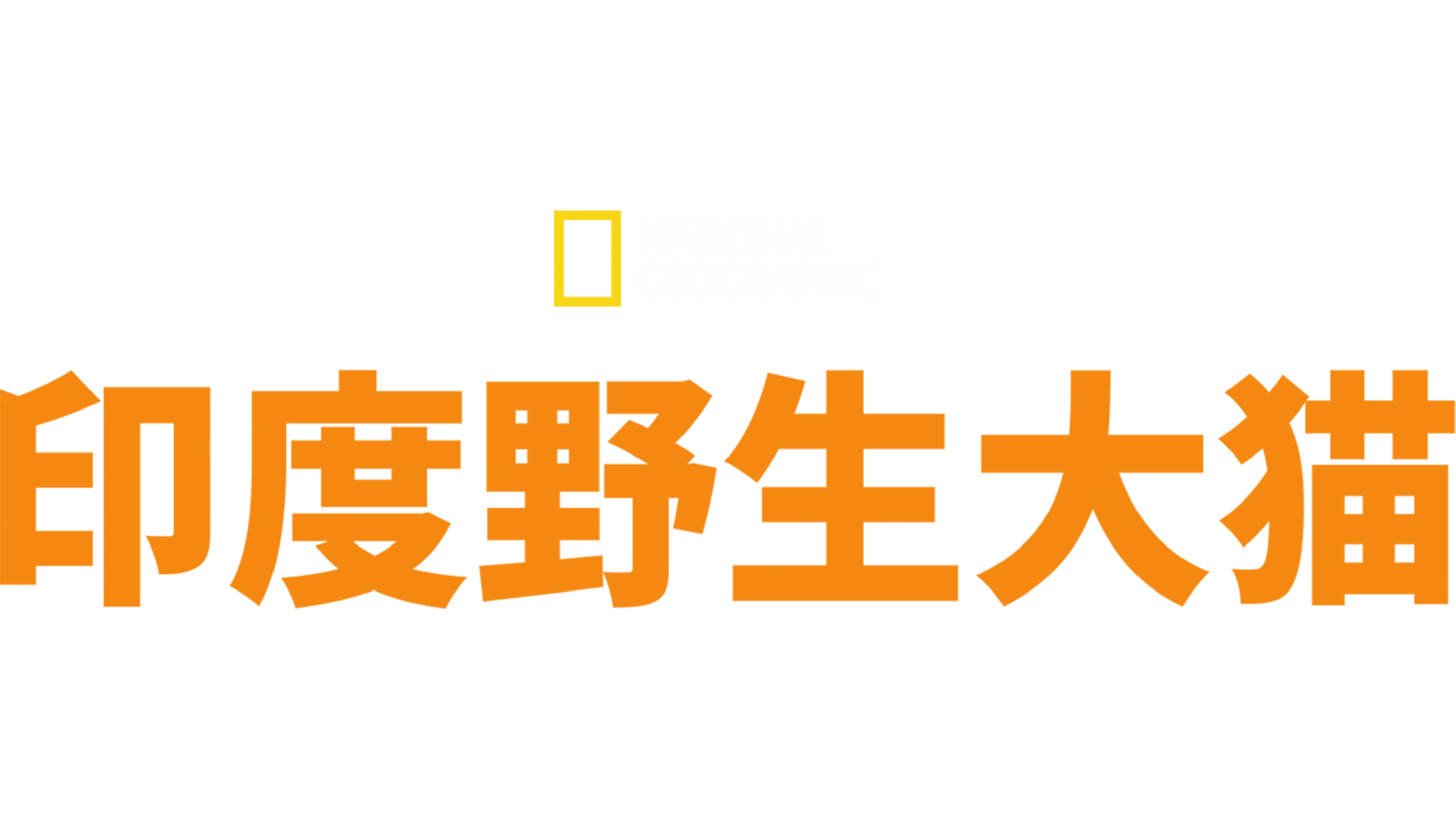 印度狂野大猫
