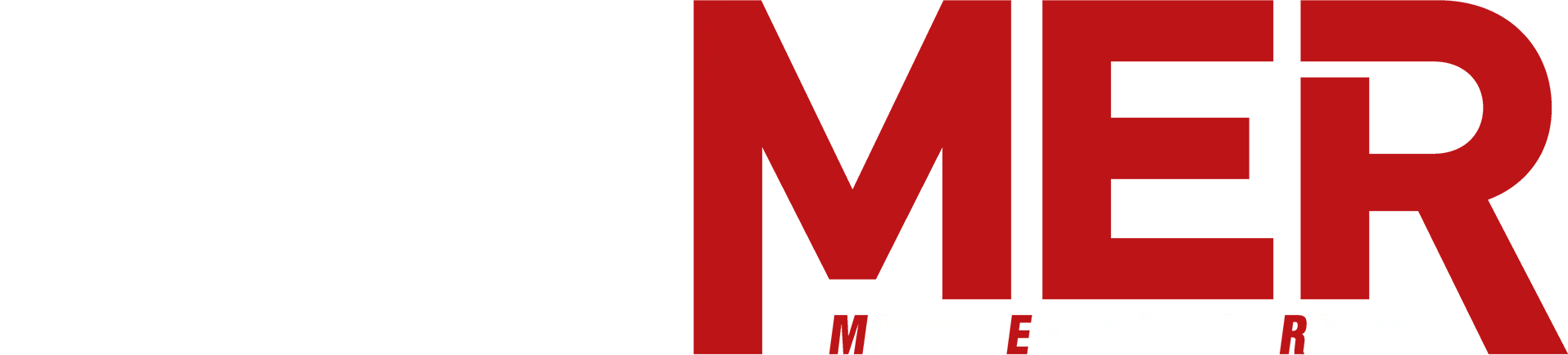 Tokyo MER: Mobile Emergency Room
