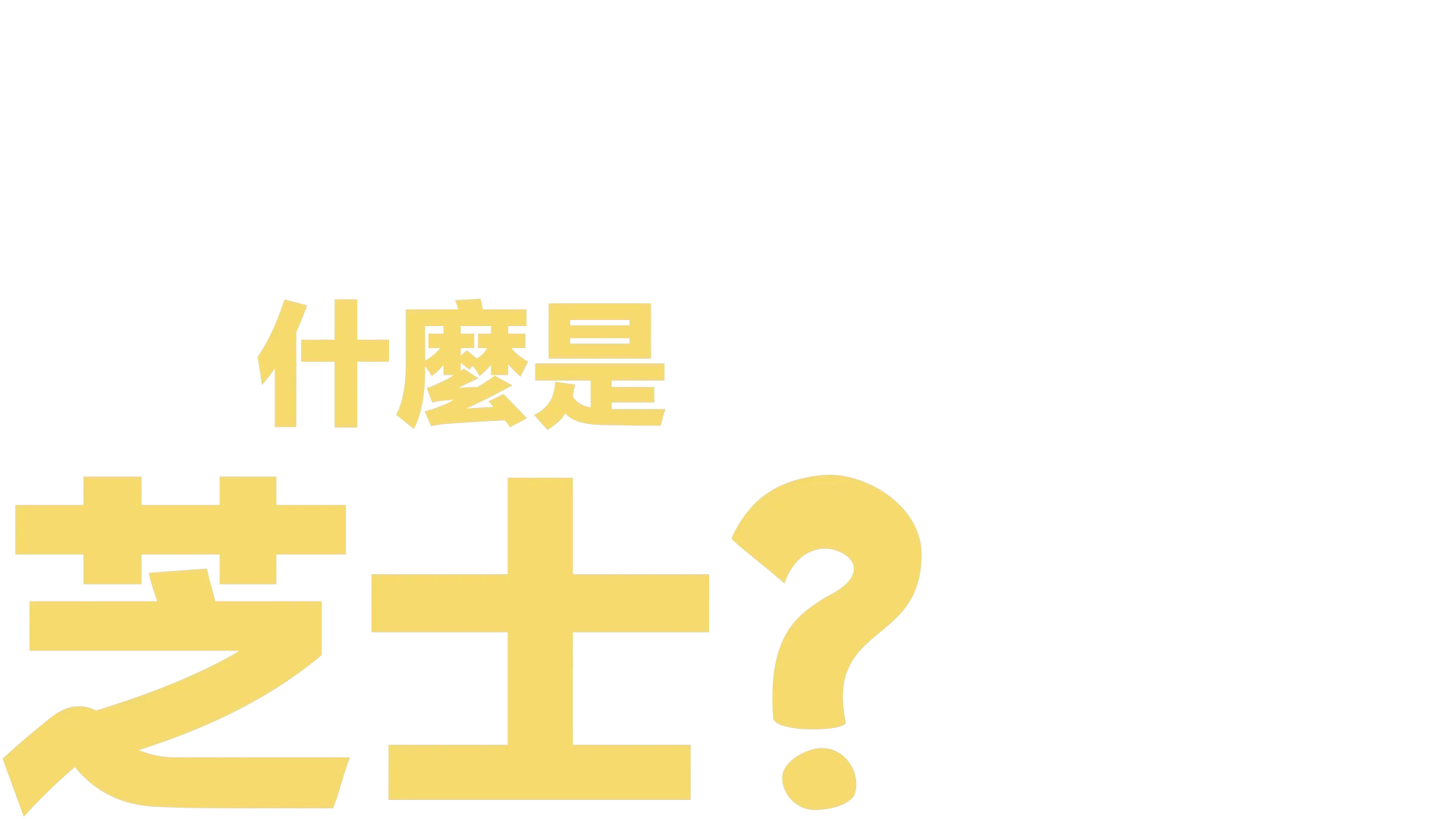 什麼是芝士？