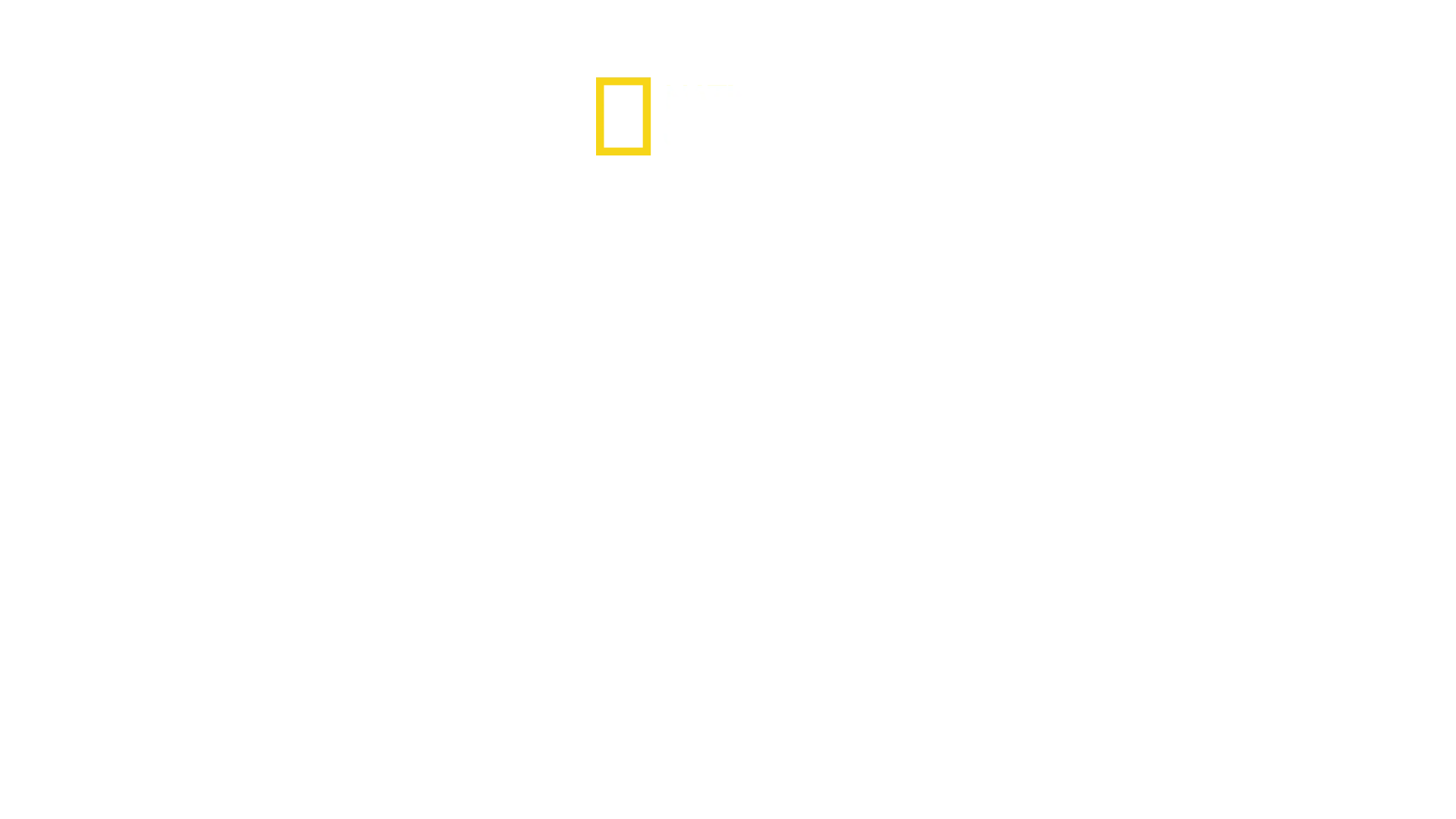 Los más raros de Sudamérica