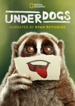 thumbnail - Underdogs