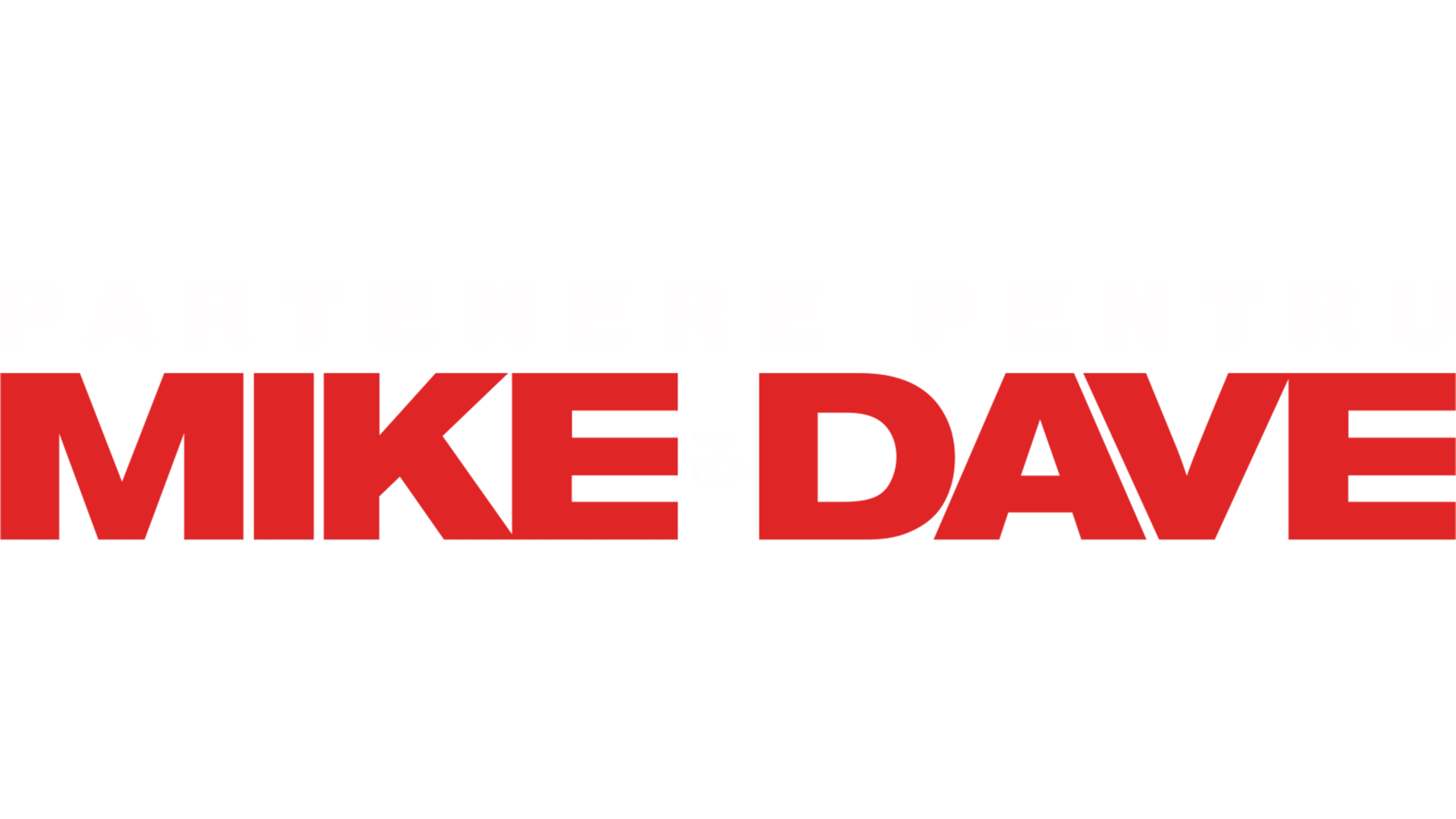 Partenere pentru Mike şi Dave