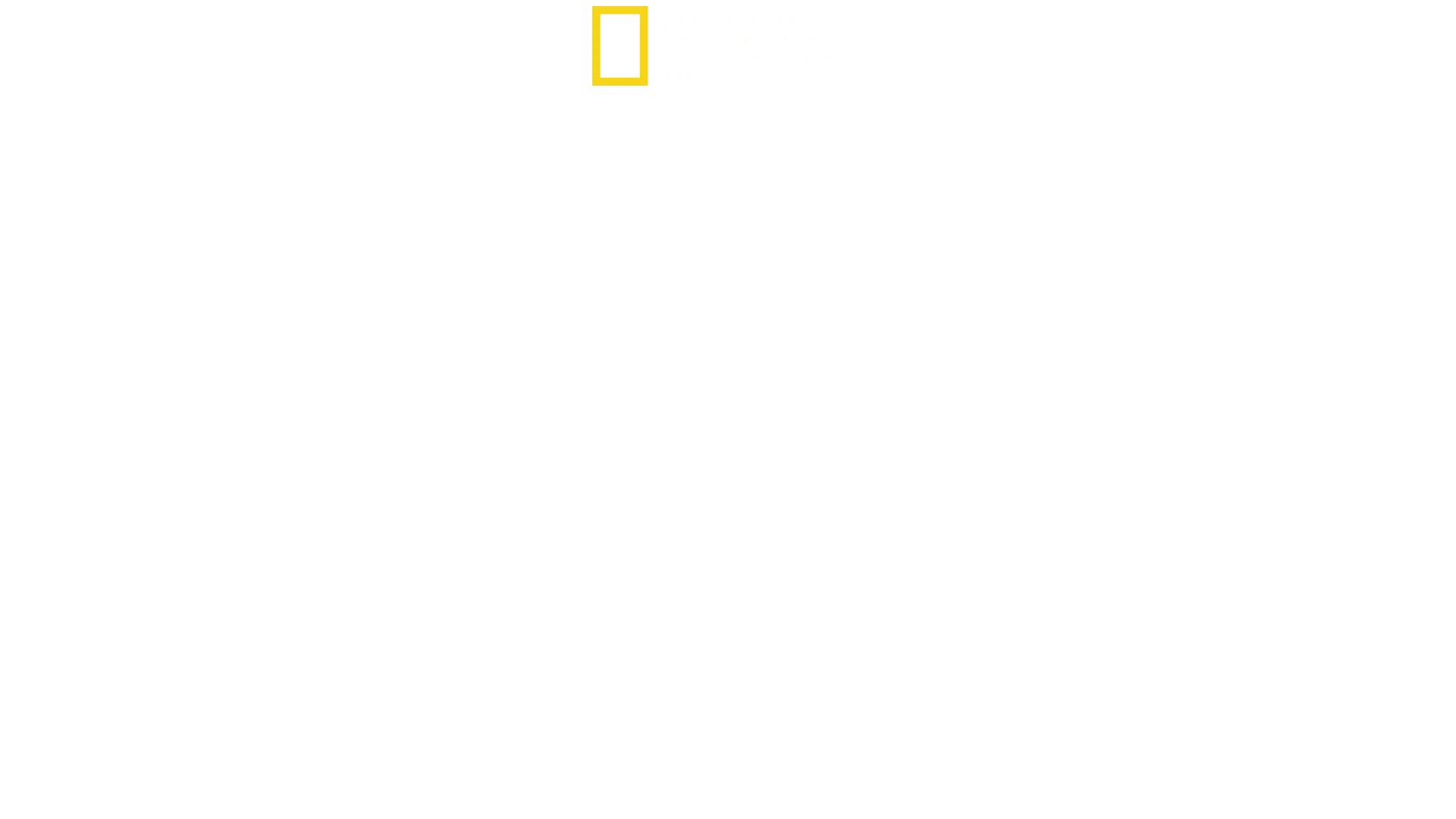 Inside North Korea: The Kim Dynasty