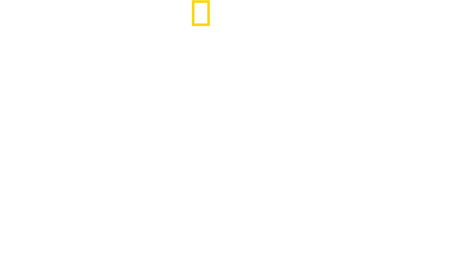 Inside North Korea: The Kim Dynasty