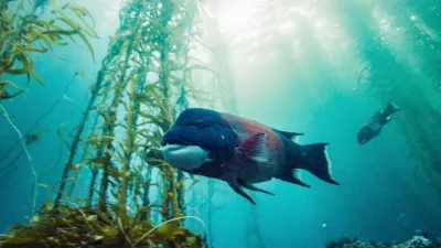 thumbnail - S2:E3 Channel Islands