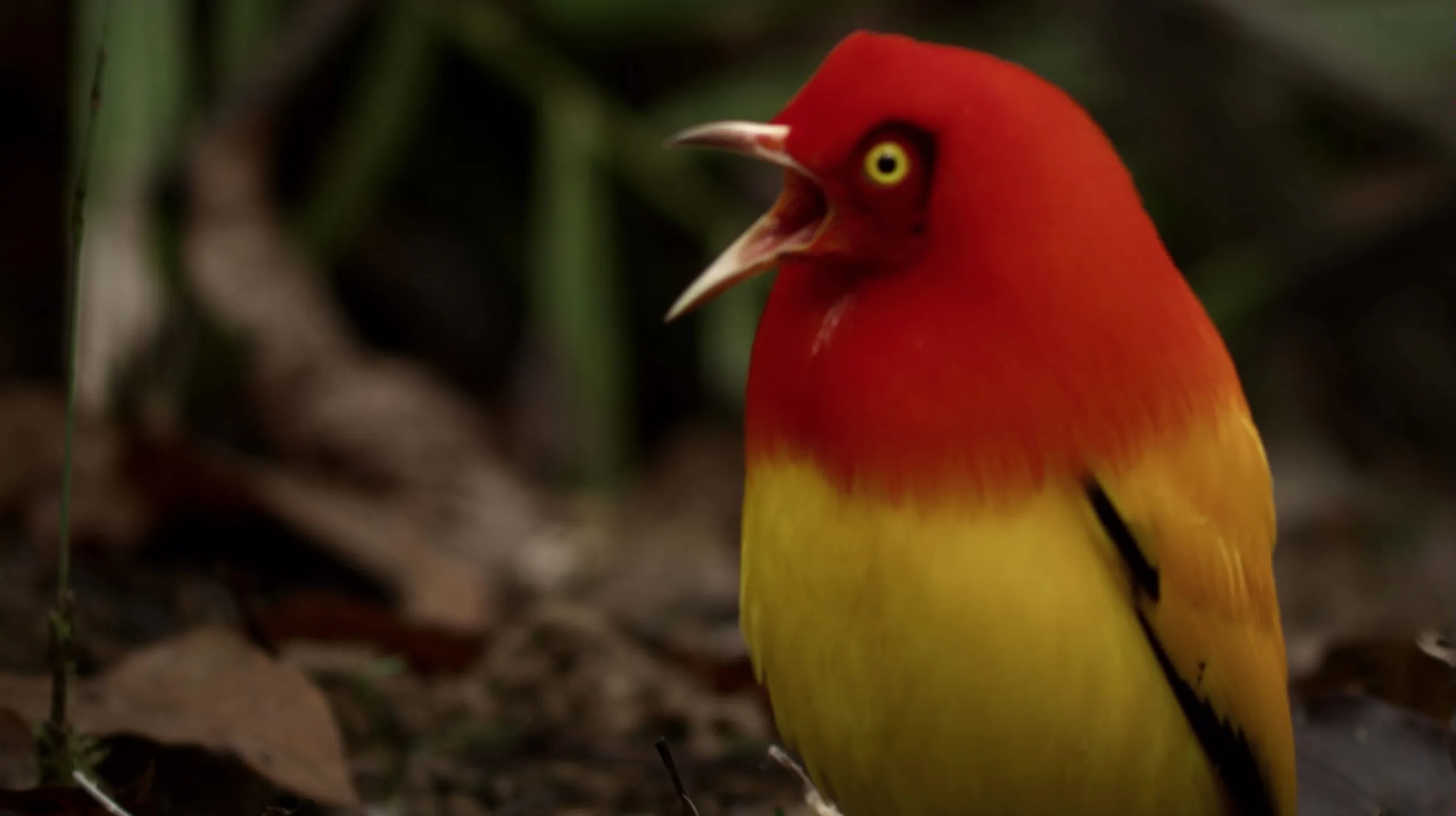 thumbnail - S1:E1 Origin Stories