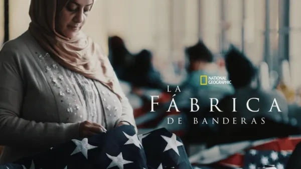 thumbnail - La fábrica de banderas