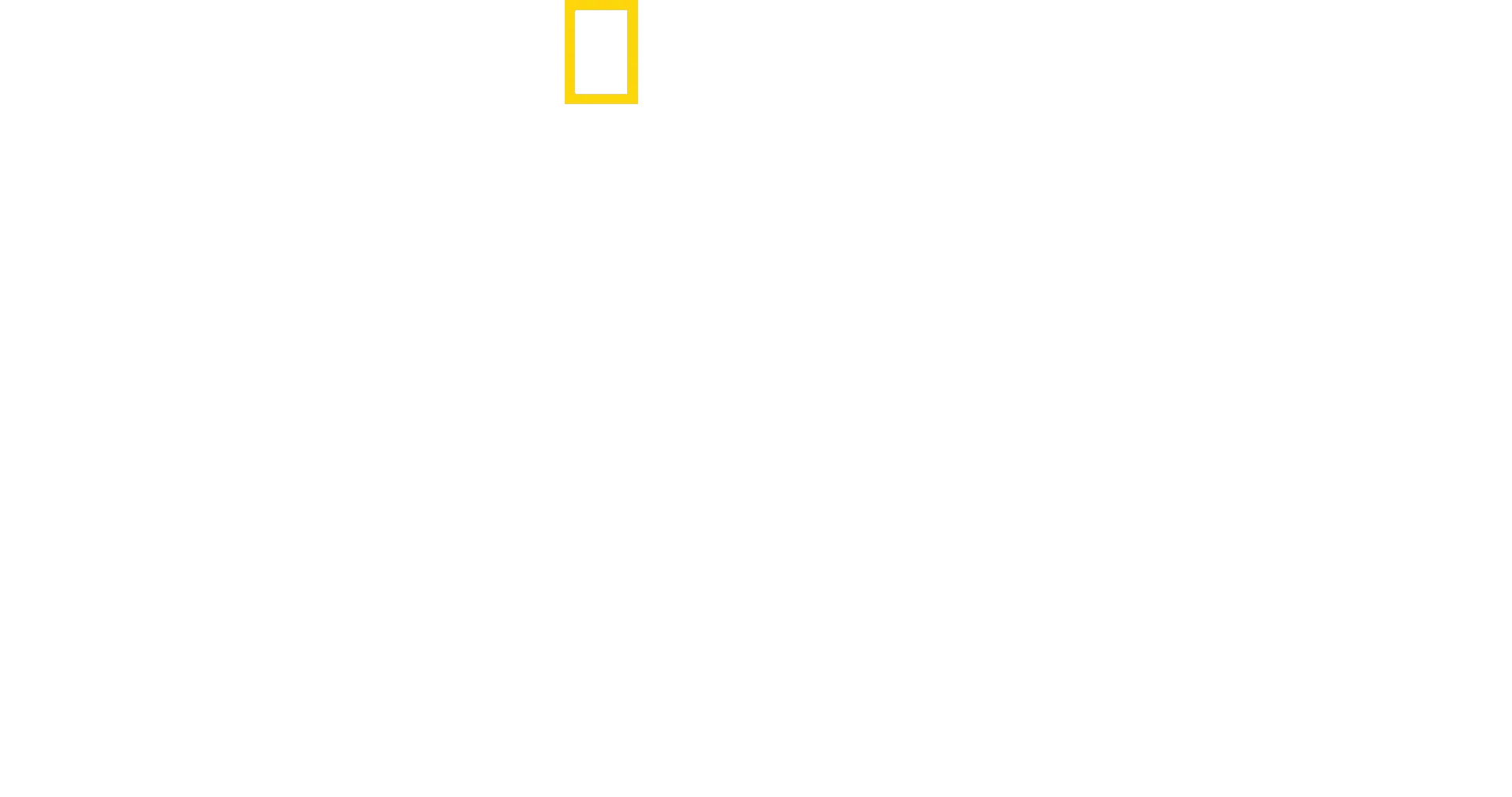 Tre klatrende løver