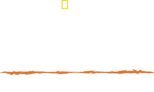 Primal Survivor: Over the Andes