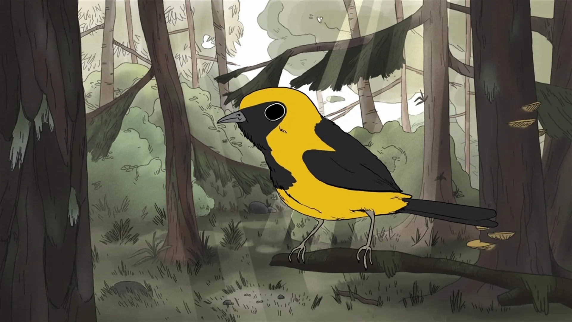 thumbnail - S1:E16 Birds