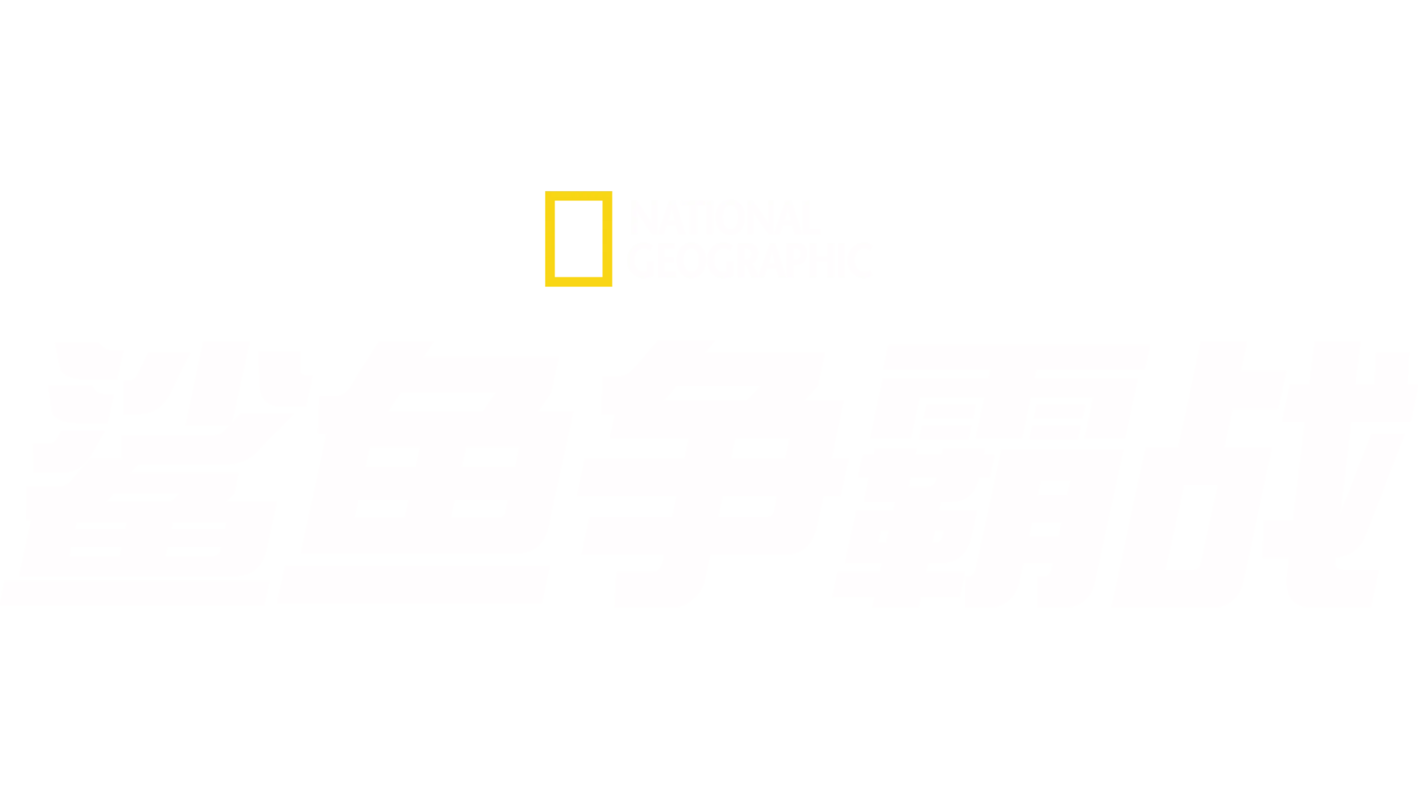 鲨鱼争霸战