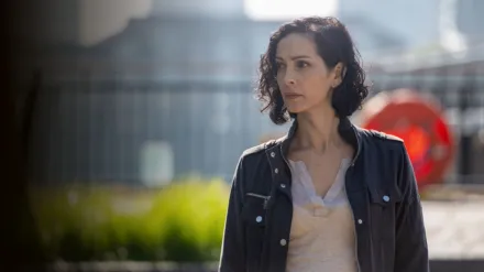 The Chelsea Detective