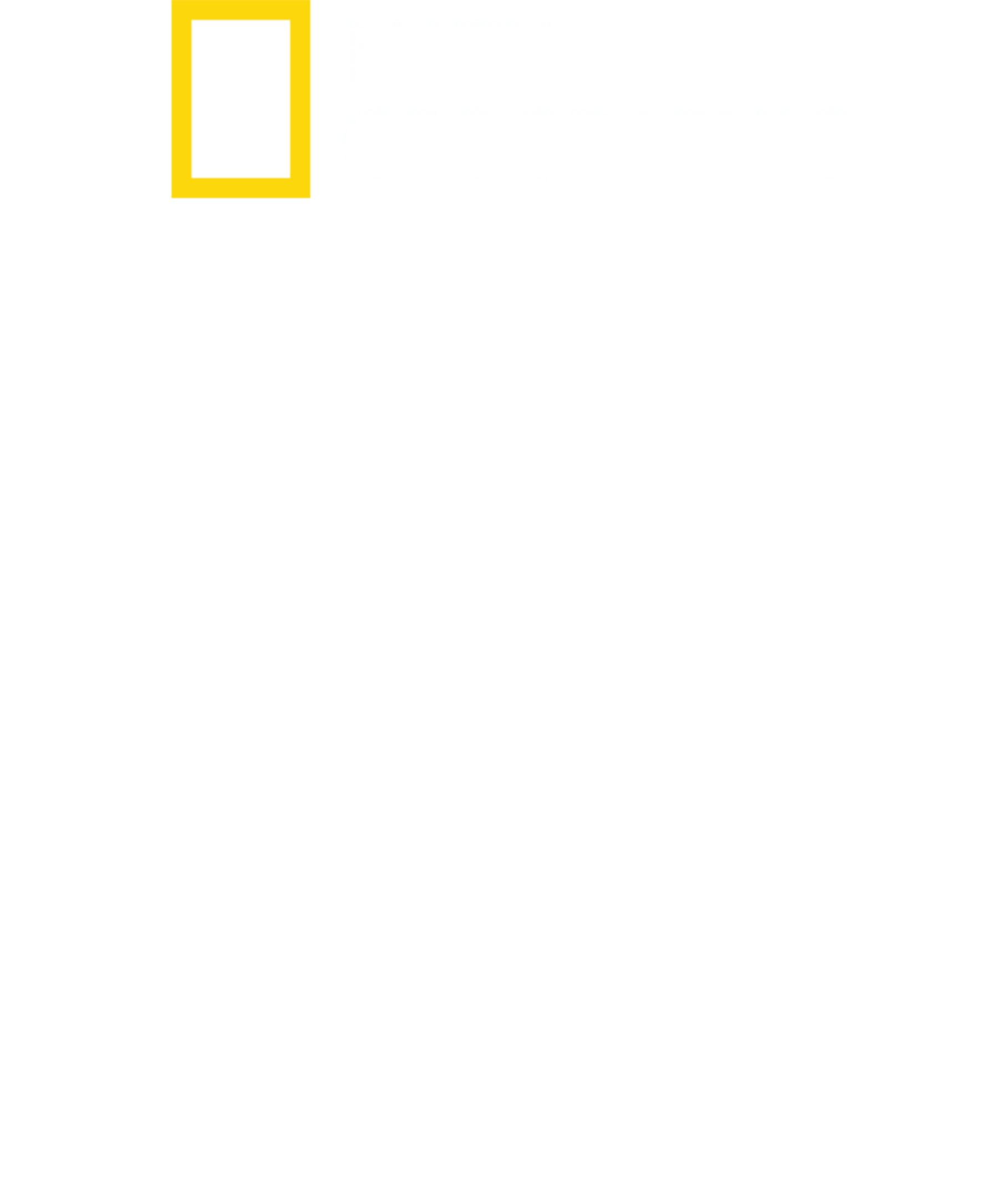鲨鱼幻色术