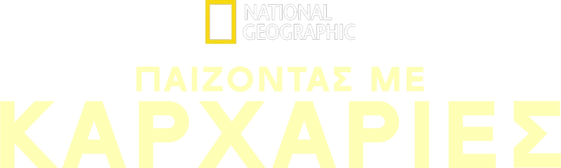 Παίζοντας με Καρχαρίες
