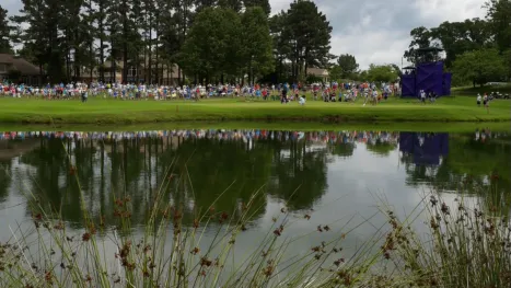 thumbnail - FedEx St. Jude Championship: Featured Hole #14 (Second Round)