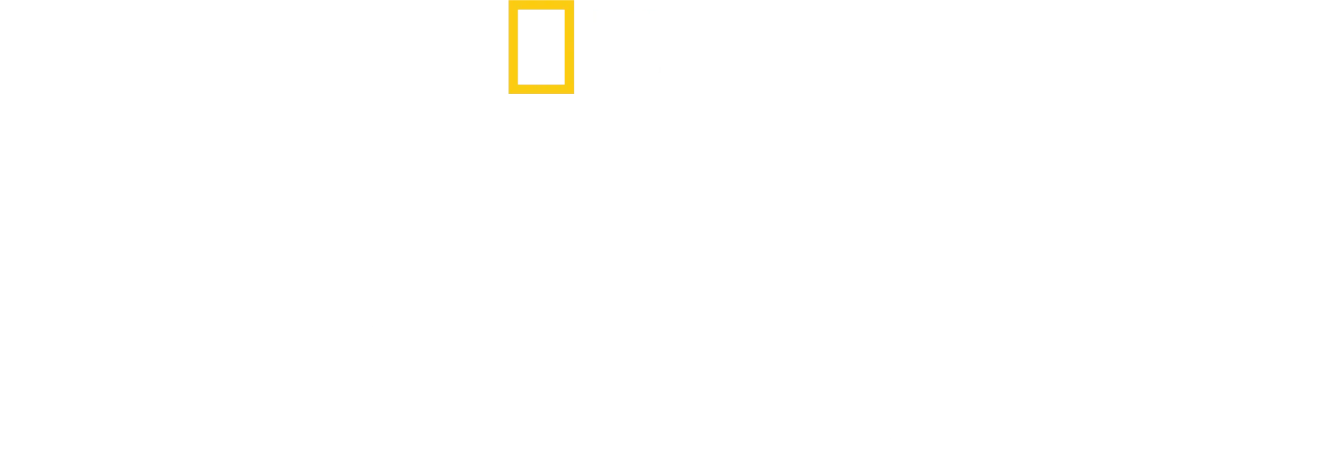 亚马逊雨林保卫战