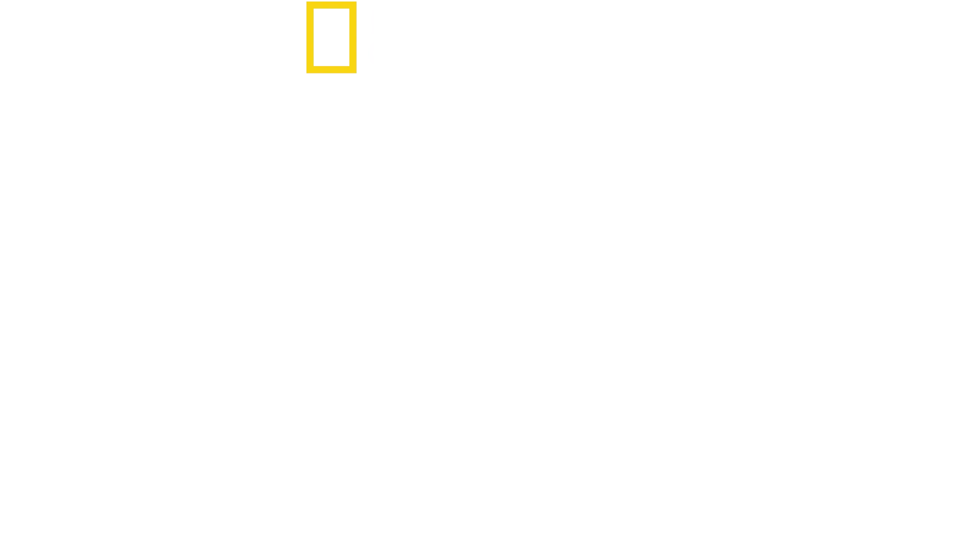 Bertie Gregory – lähikuvassa delfiinit