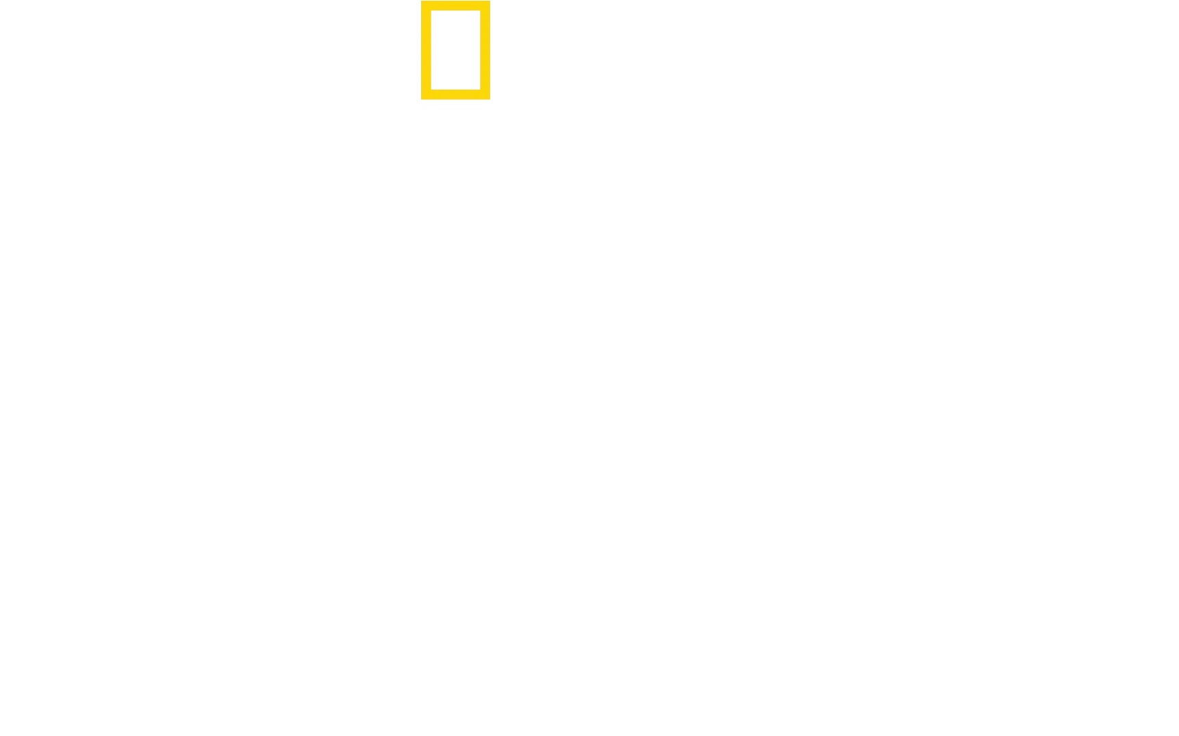 Bertie Gregory – lähikuvassa delfiinit