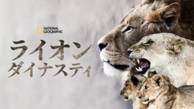 thumbnail - ライオン・ダイナスティ