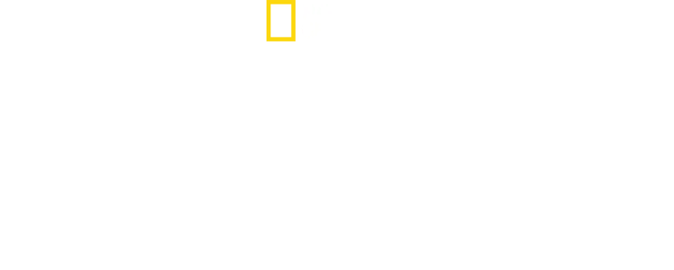 Κέρος: Το Μυστήριο των Σπασμένων Ειδωλίων