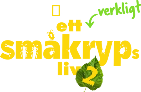 Ett verkligt småkryps liv