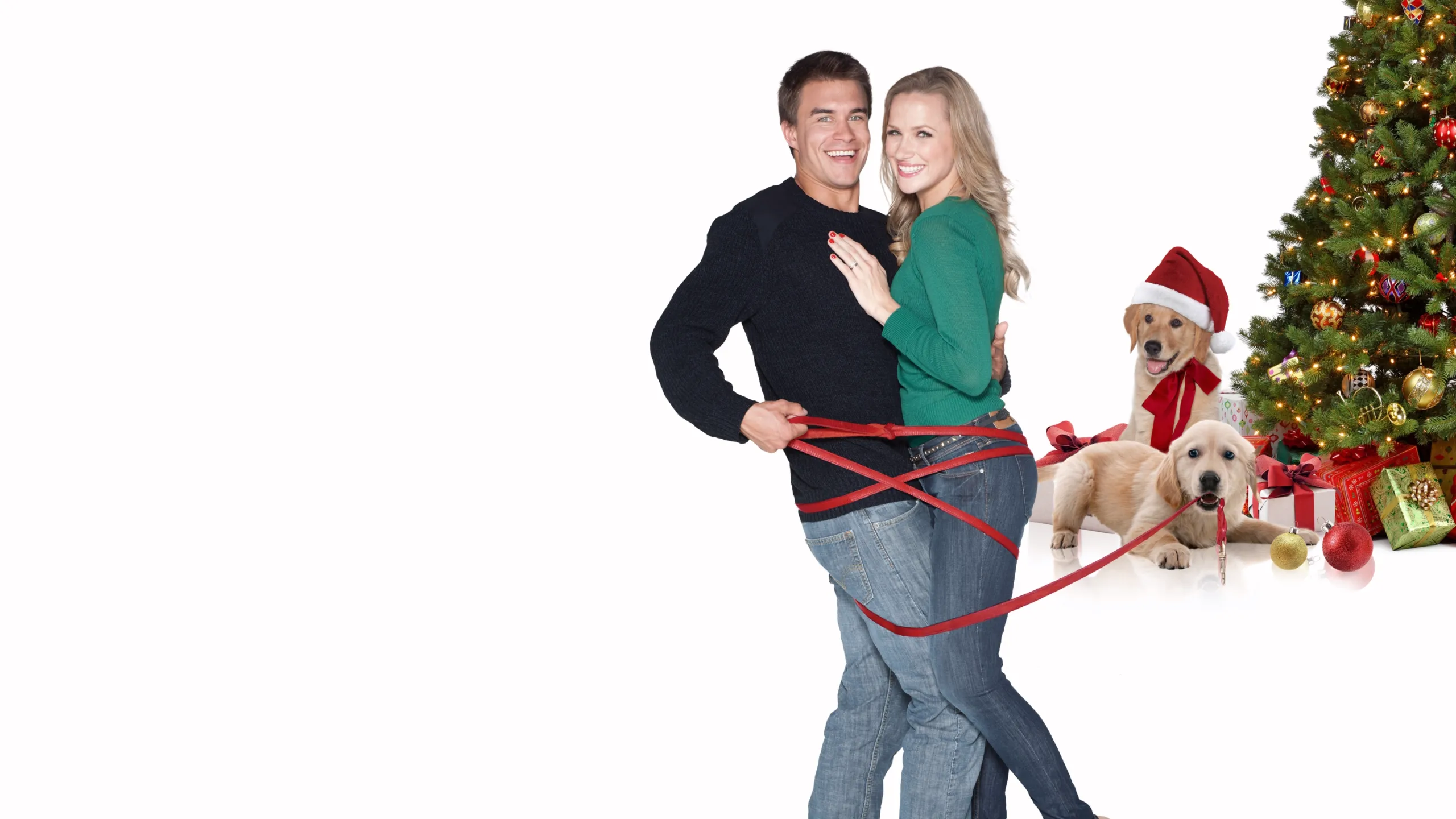 A Golden Christmas 3