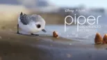 thumbnail - Piper esperando la marea