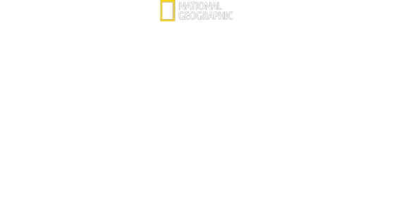 La Magia de Animal Kingdom de Disney