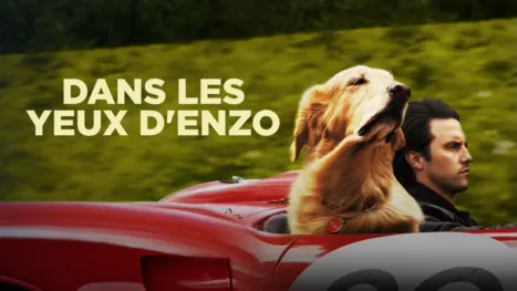 thumbnail - Dans les yeux d'Enzo