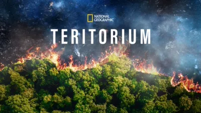 Teritorium