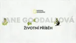 thumbnail - Jane Goodallová – životní příběh