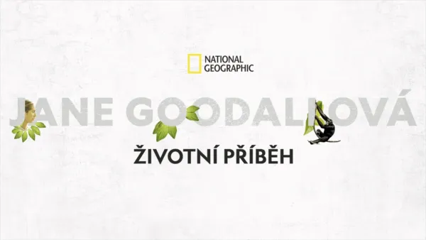 thumbnail - Jane Goodallová – životní příběh