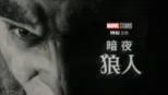 thumbnail - 《暗夜狼人》