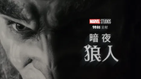 thumbnail - 《暗夜狼人》