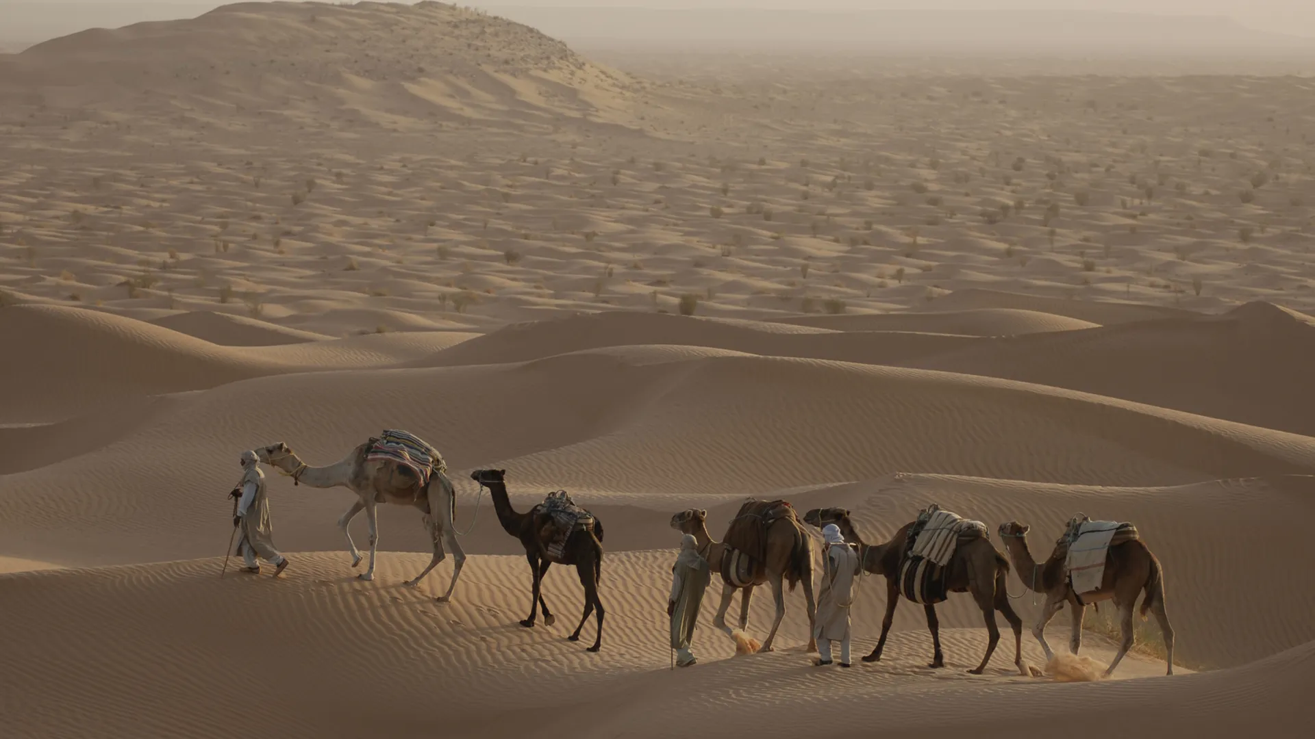 thumbnail - S1:E3 Sahara