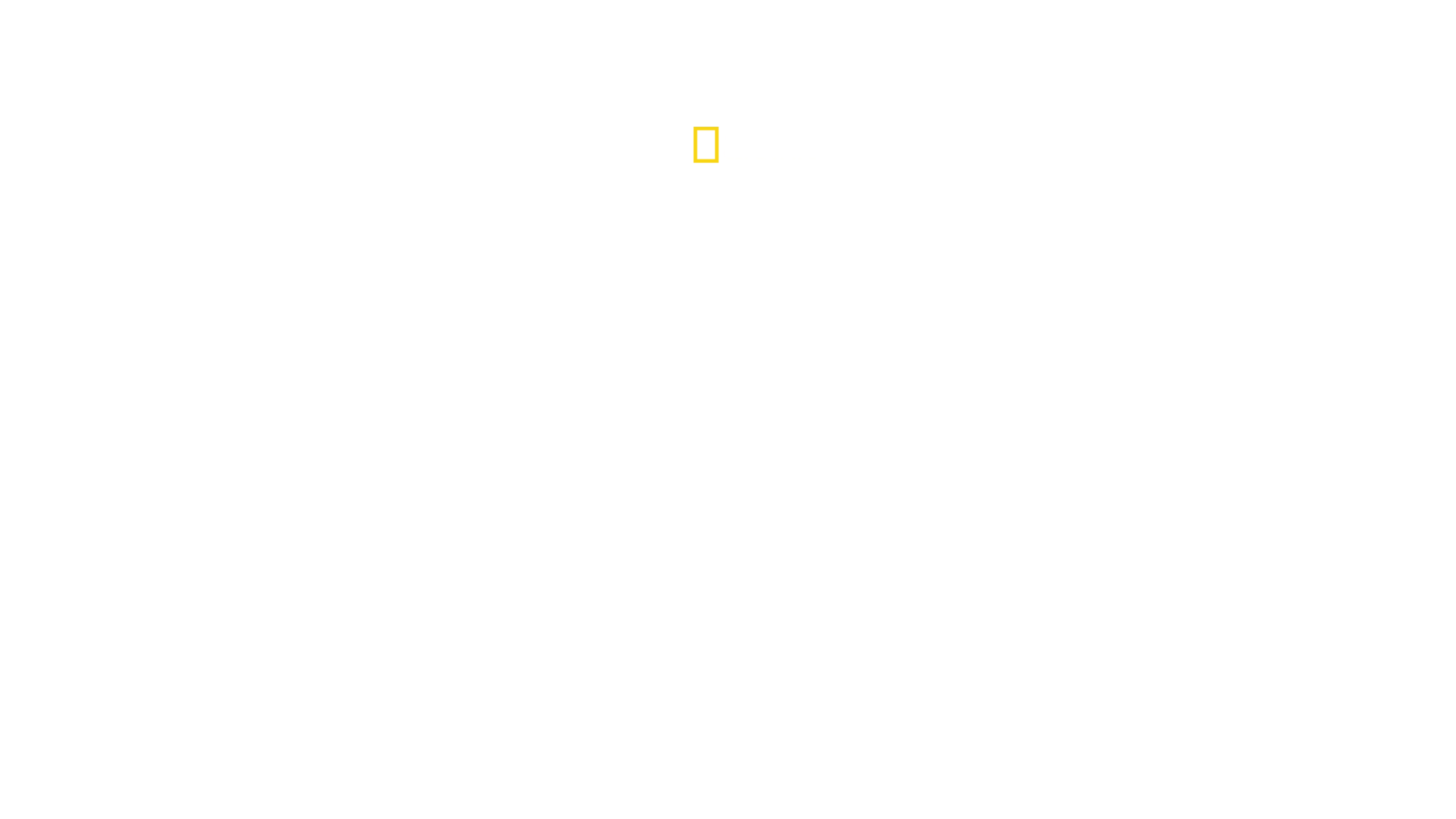 침팬지의 어머니, 제인 구달
