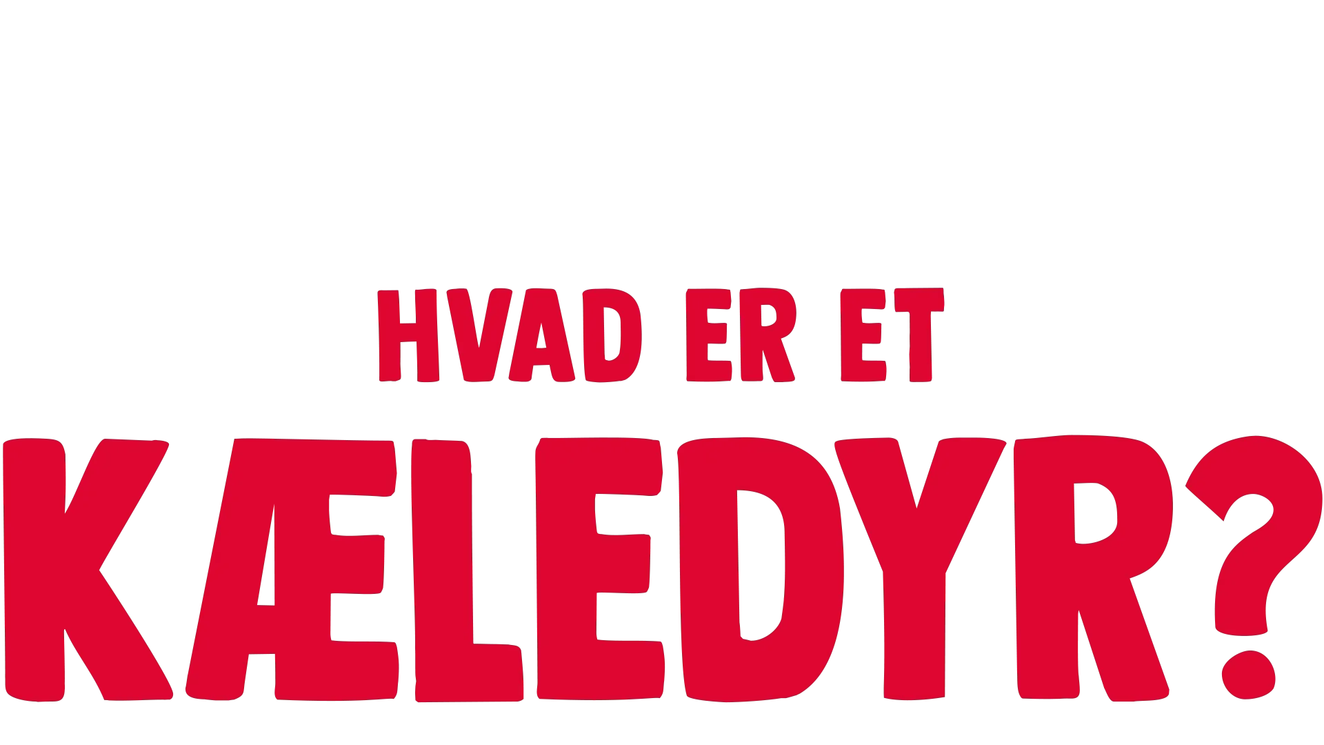 Gafli har et spørgsmål: Hvad er et kæledyr?