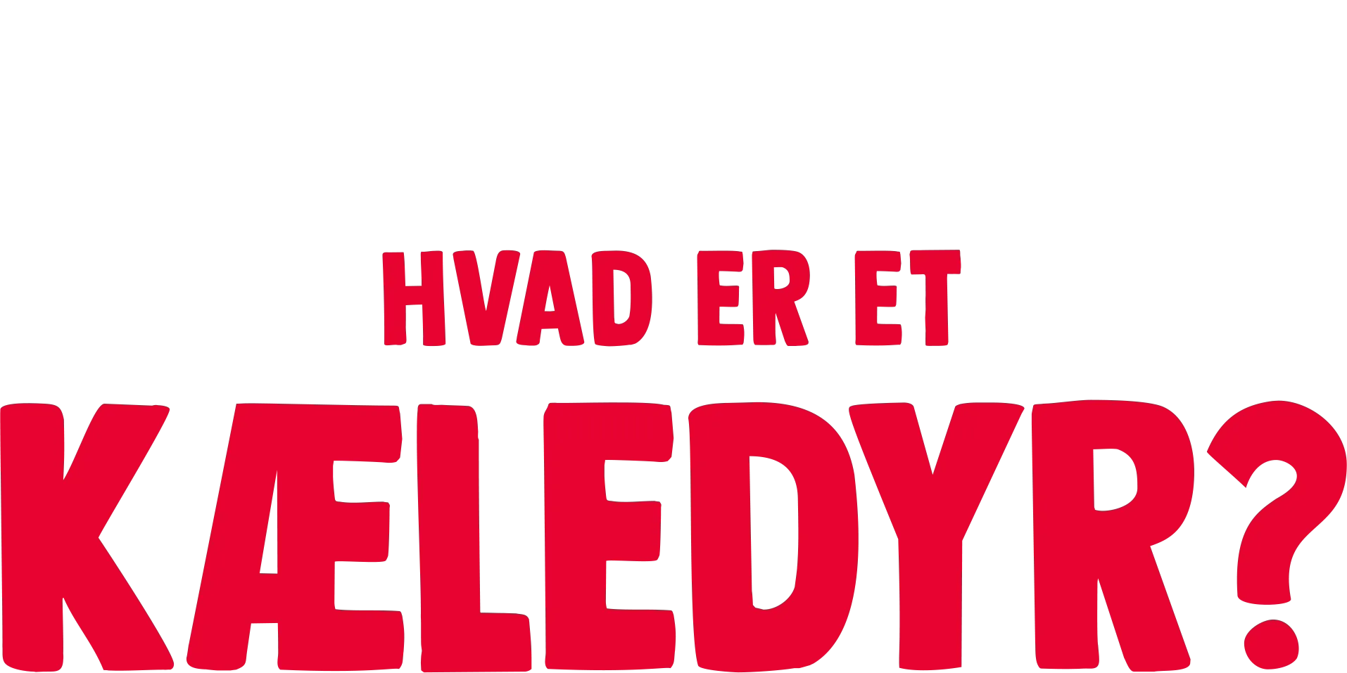 Gafli har et spørgsmål: Hvad er et kæledyr?