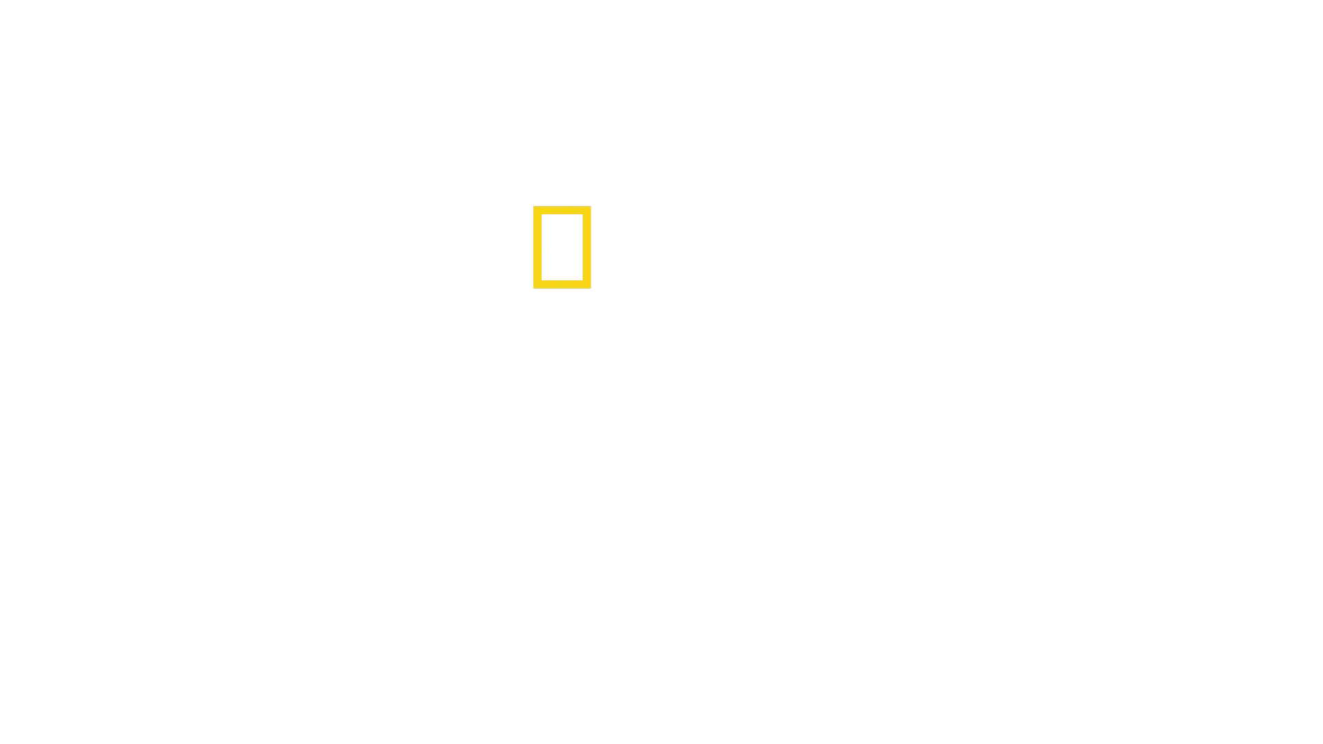 Čelisti slaví 50: Úplný pohled do zákulisí