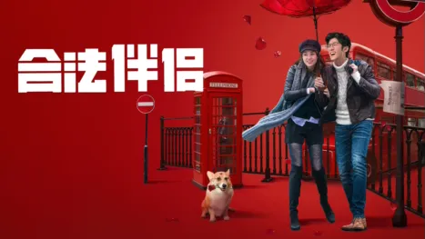 thumbnail - 合法伴侣