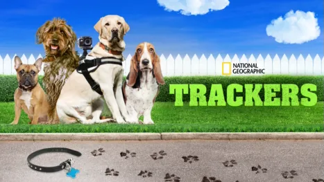 thumbnail - Trackers