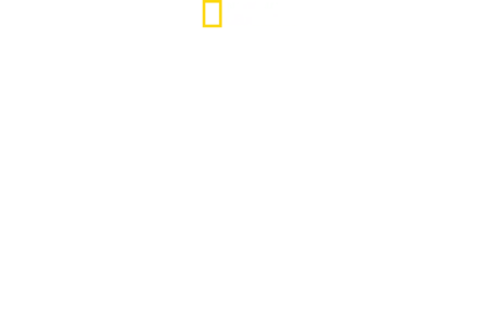 Hitler: il conflitto finale