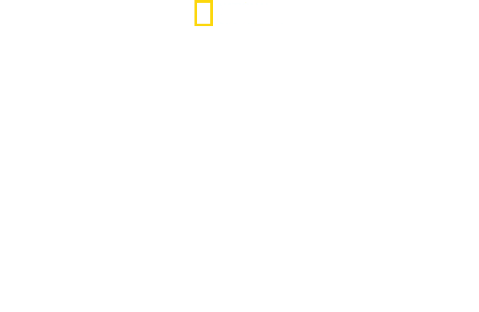 Hitler: il conflitto finale