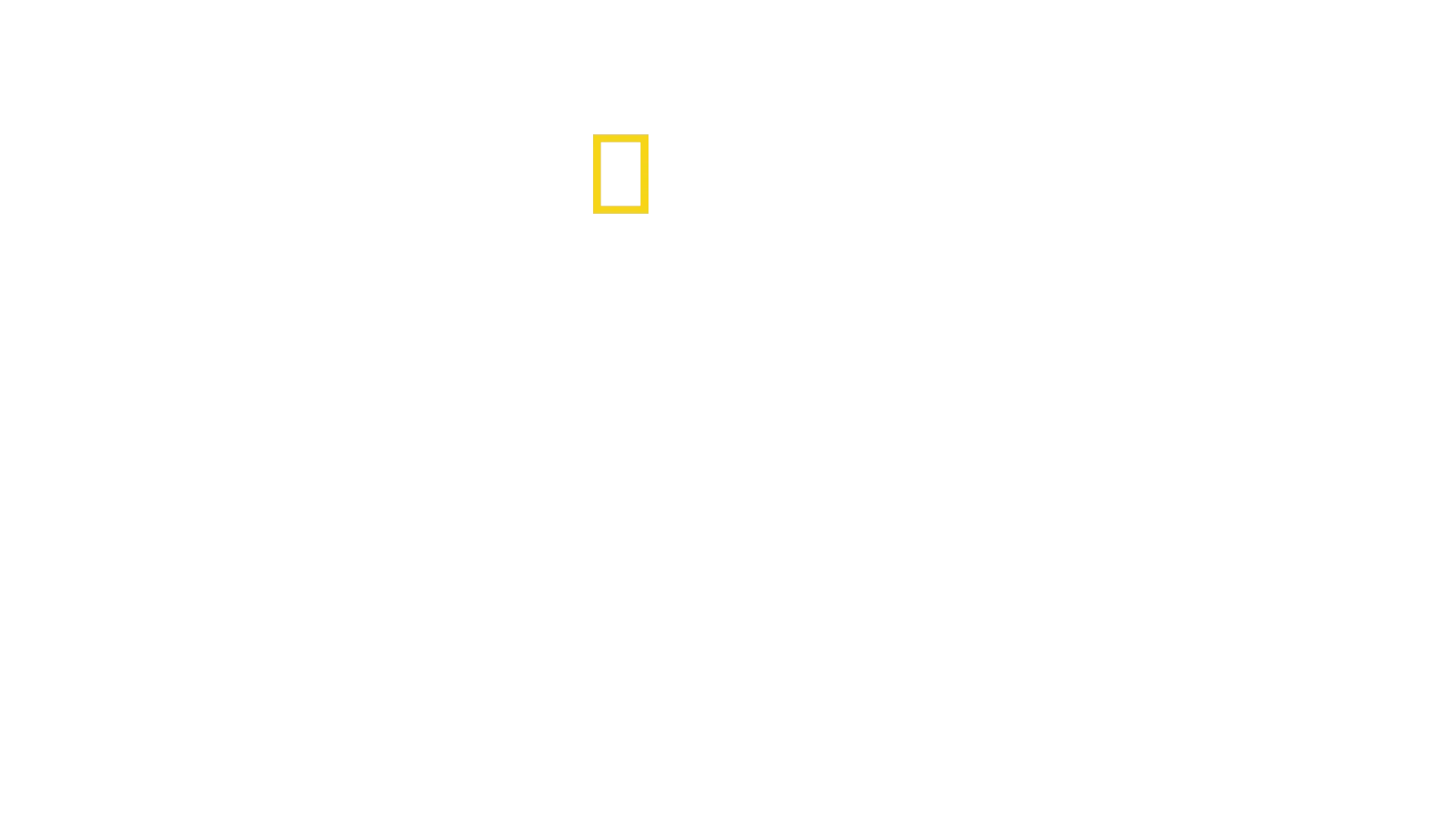 O Que Nos Define?