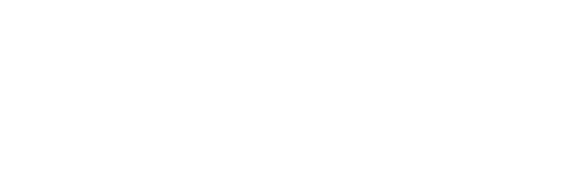 阿根廷富豪： 里卡多・福特