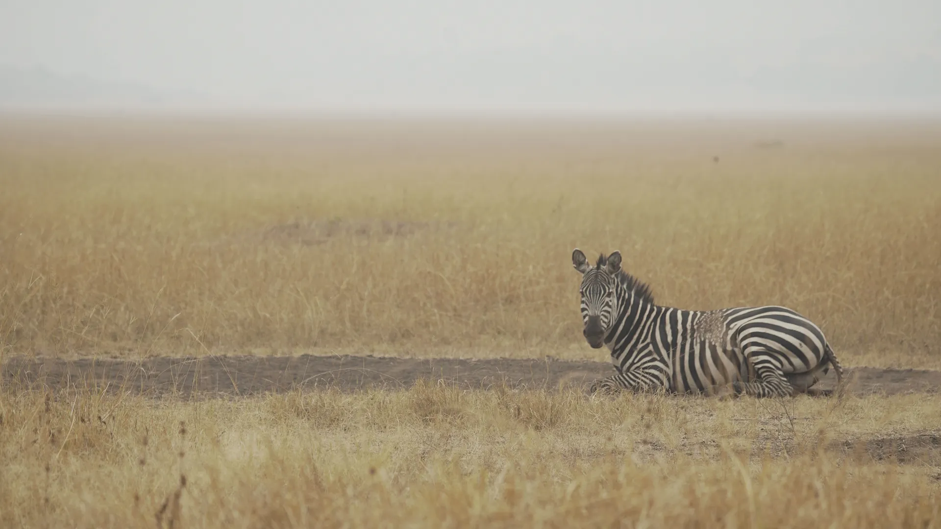 thumbnail - S1:E1 Rwanda