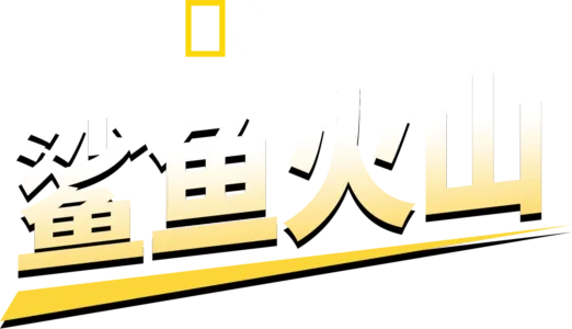鲨鱼火山