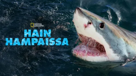 thumbnail - When Sharks Attack