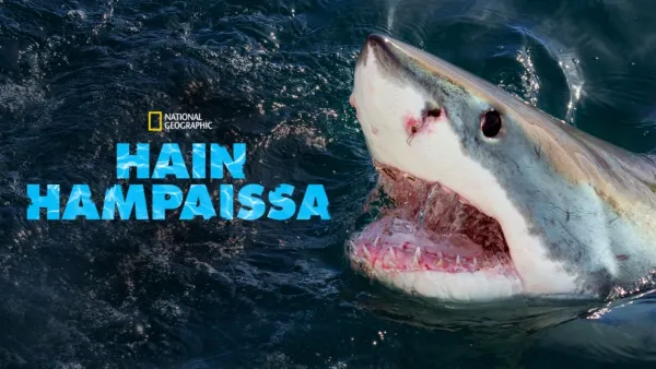 thumbnail - When Sharks Attack