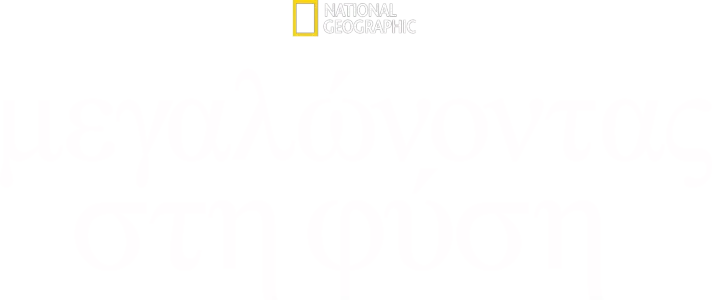 Μεγαλώνοντας στη Φύση